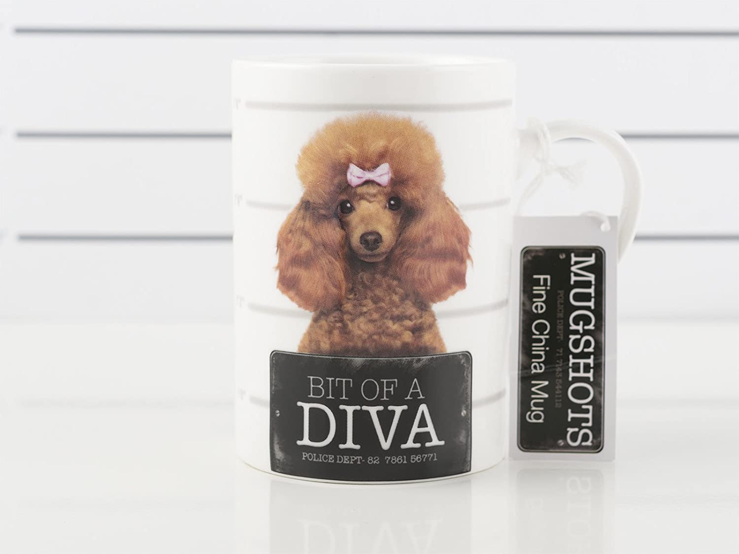 Creative Tops "Bit of a Diva" Mugshots mug