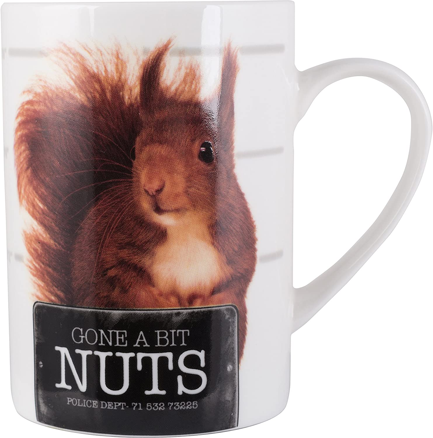 Creative Tops 'Gone A Bit Nuts' Mugshots Mug