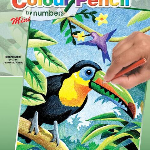 Colour Pencil By Numbers - Tropical Birds