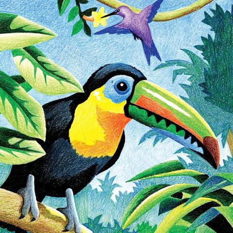 Colour Pencil By Numbers - Tropical Birds